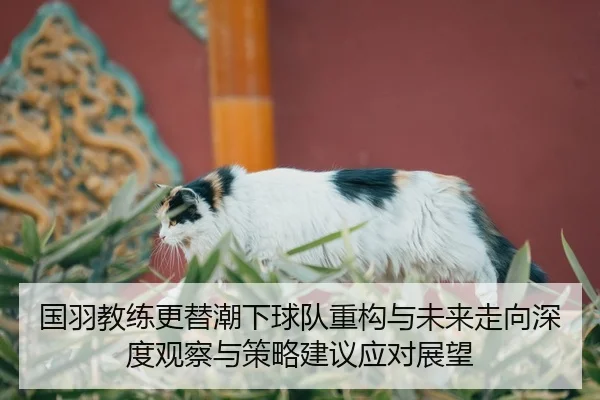 guo-yu-jiao-lian-geng-ti-chao-xia-qiu-dui-zhong-gou-yu-wei-lai-zou-xiang-shen-du-guan-cha-yu-ce-lve-jian-yi-ying-dui-2-830.jpg