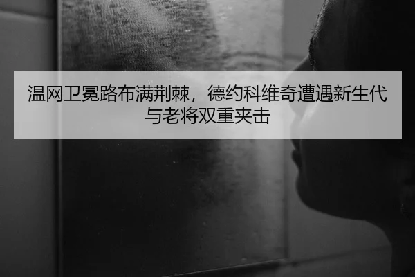 wen-wang-wei-mian-lu-bu-man-jing-ji-de-yue-ke-wei-qi-zao-yu-xin-sheng-dai-yu-lao-jiang-shuang-chong-jia-ji-2-319.jpg